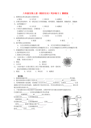 八年級(jí)生物上冊(cè)《根的生長(zhǎng)》同步練習(xí)2（無(wú)答案） 冀教版（通用）