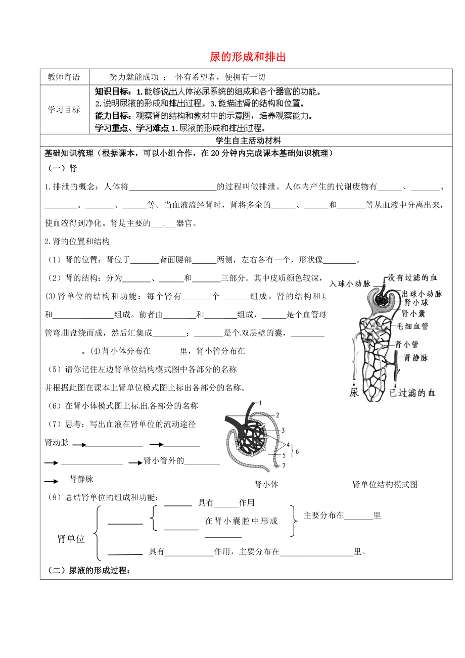 山東省廣饒縣丁莊鎮(zhèn)中心初級中學(xué)七年級生物下冊 第3單元 第4章 第1節(jié) 尿的形成和排出導(dǎo)學(xué)案（無答案） 濟南版_第1頁