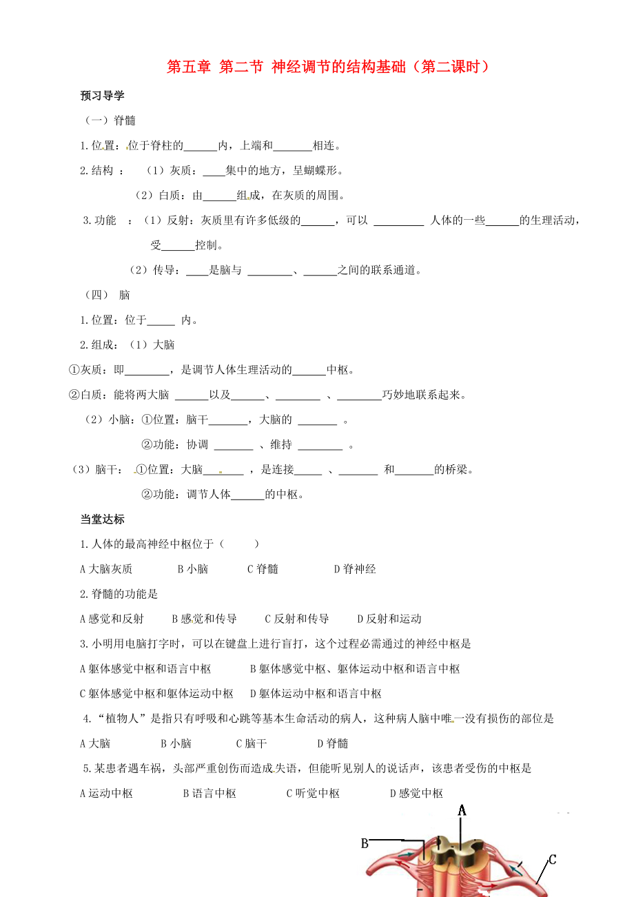 山東省棗莊市嶧城區(qū)吳林街道中學七年級生物下冊 第五章 第二節(jié) 神經(jīng)調(diào)節(jié)的結(jié)構(gòu)基礎(chǔ)（第二課時）導(dǎo)學案（無答案） 濟南版_第1頁