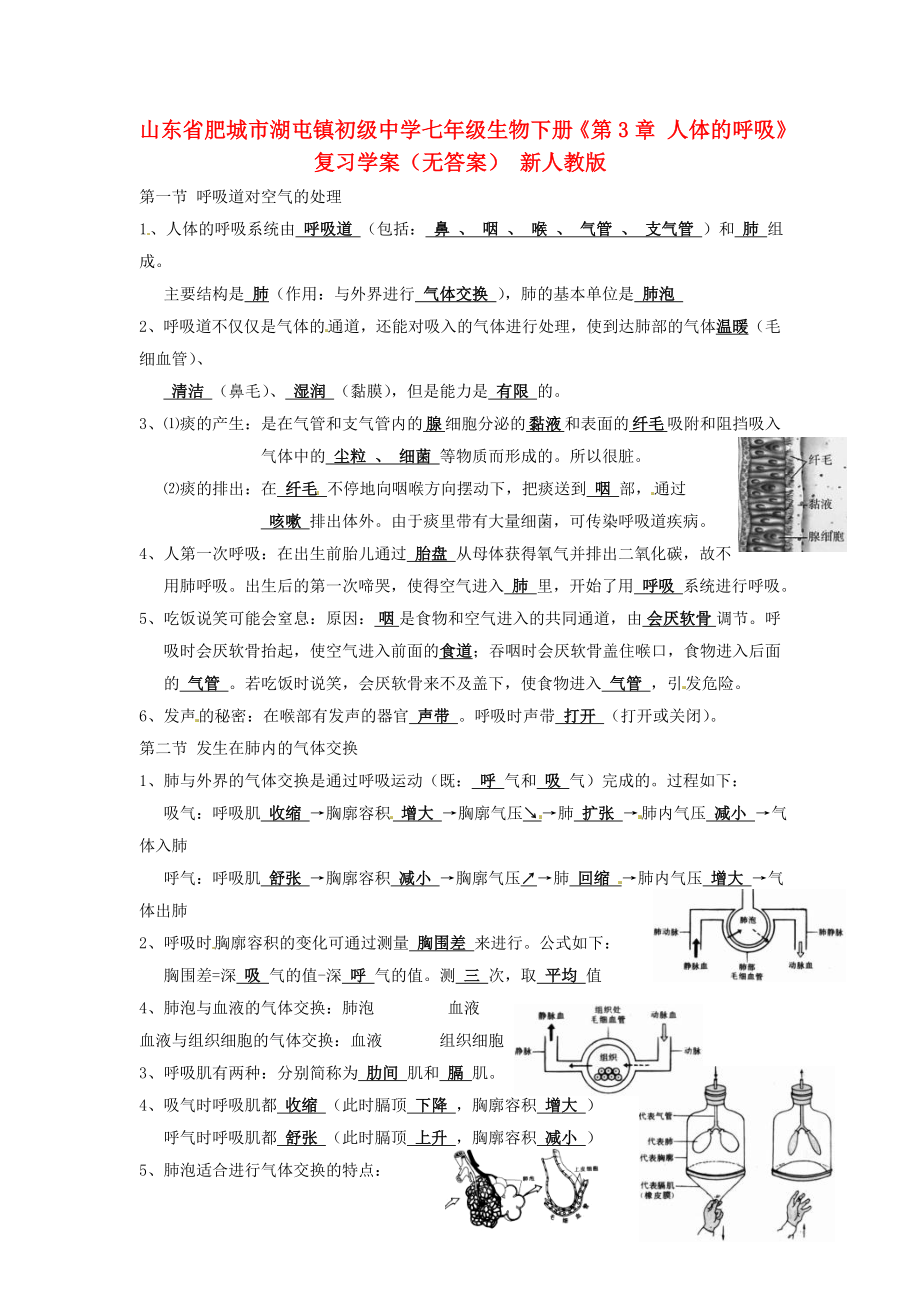 山東省肥城市湖屯鎮(zhèn)初級中學七年級生物下冊《第3章 人體的呼吸》復習學案（無答案） 新人教版_第1頁