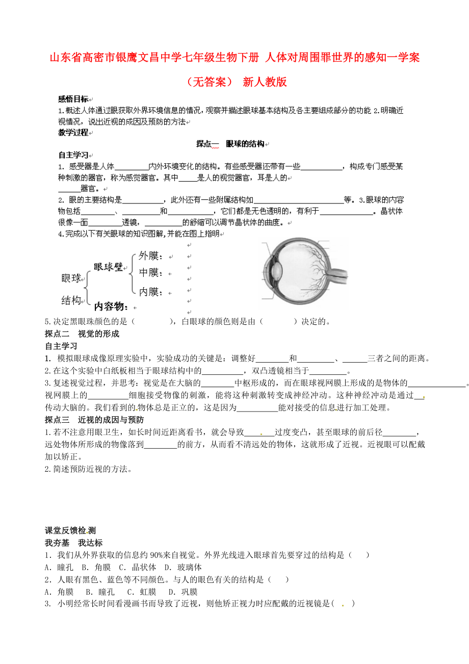 山東省高密市銀鷹文昌中學七年級生物下冊 人體對周圍罪世界的感知一學案（無答案） 新人教版_第1頁