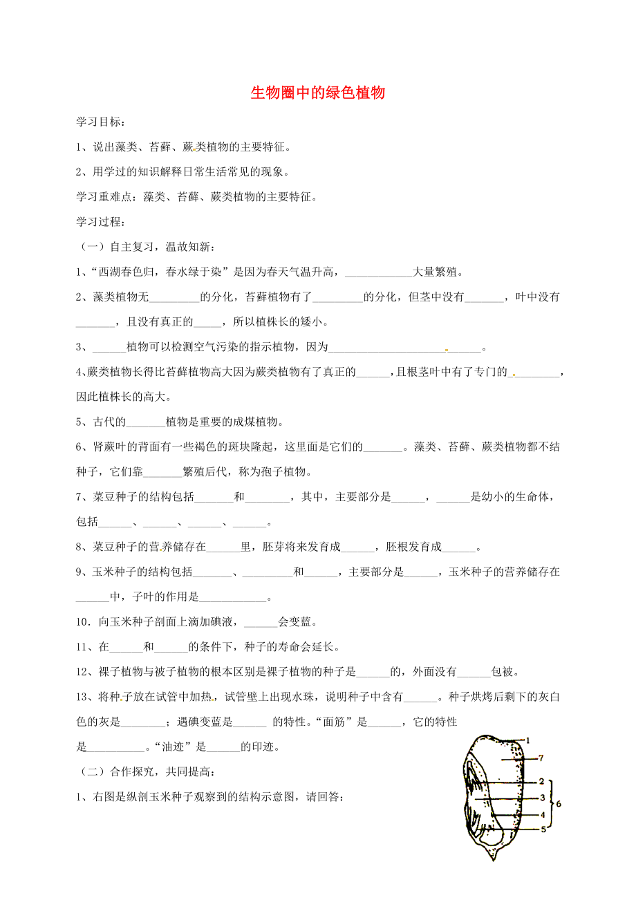 山東省淄博市高青縣第三中學(xué)九年級(jí)生物下冊(cè) 綠色植物導(dǎo)學(xué)案（無(wú)答案） 魯教版（通用）_第1頁(yè)