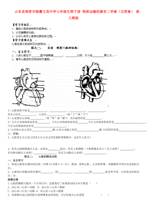 山東省高密市銀鷹文昌中學(xué)七年級生物下冊 物質(zhì)運輸?shù)钠鞴俣W(xué)案（無答案） 新人教版