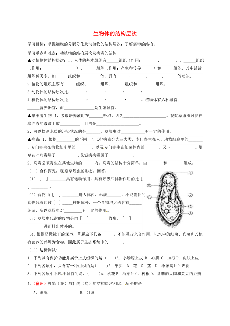 山東省淄博市高青縣第三中學(xué)九年級(jí)生物下冊(cè) 生物體的結(jié)構(gòu)層次導(dǎo)學(xué)案（無(wú)答案） 魯教版（通用）_第1頁(yè)