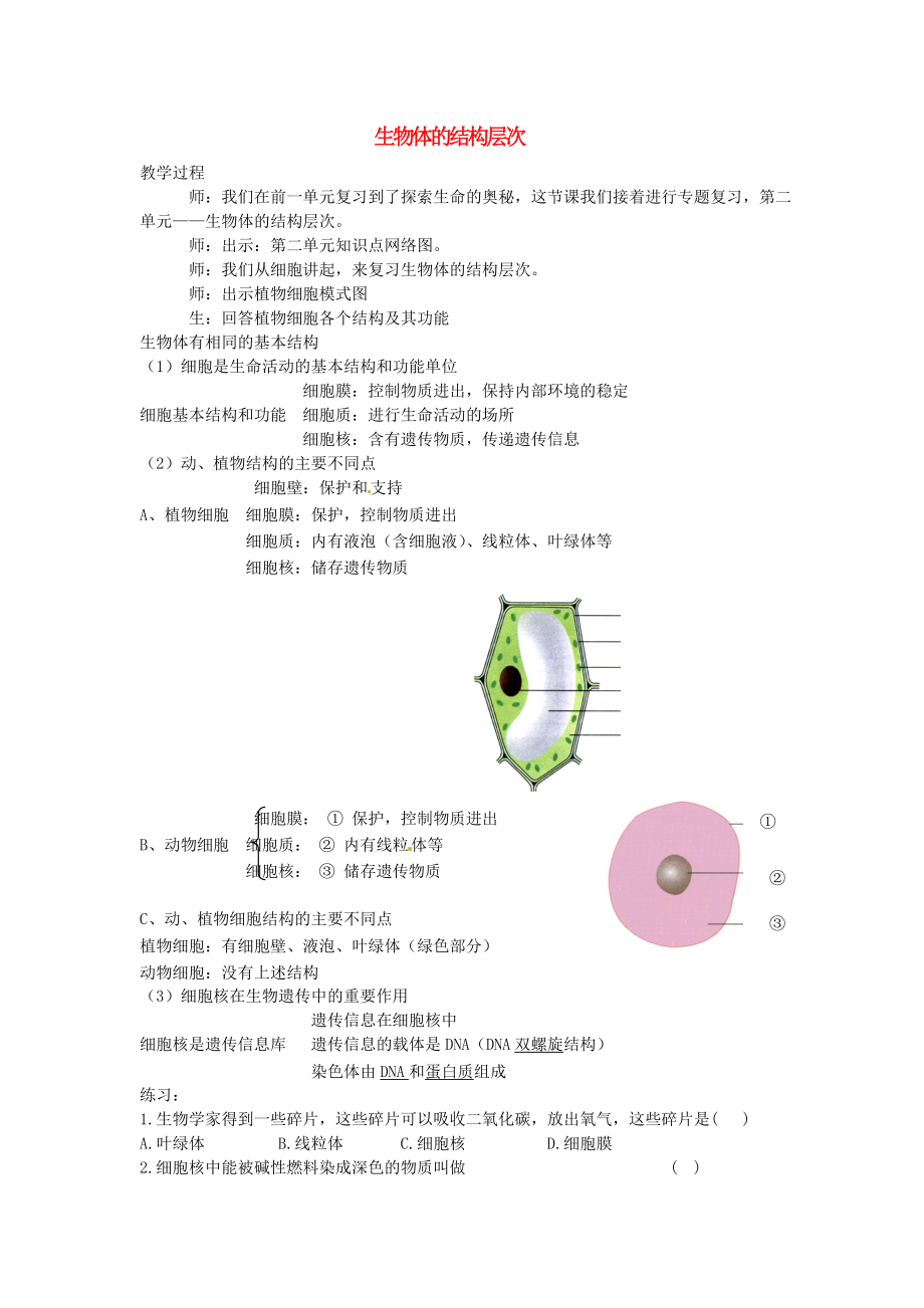 甘肅省蘭州市第十九中學(xué)七年級(jí)生物上冊(cè)《第二單元 生物體的結(jié)構(gòu)層次》教案 新人教版_第1頁(yè)