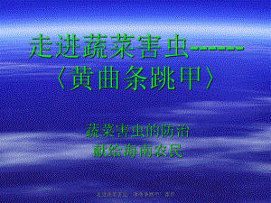 走進蔬菜害蟲〈黃曲條跳甲〉課件