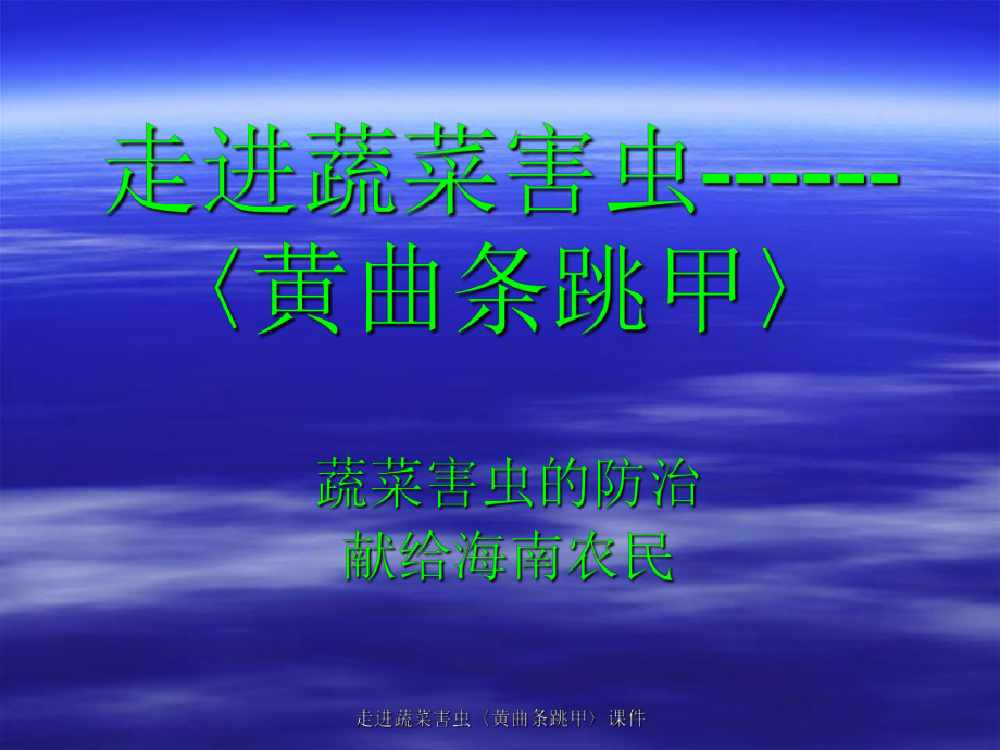 走進(jìn)蔬菜害蟲〈黃曲條跳甲〉課件_第1頁