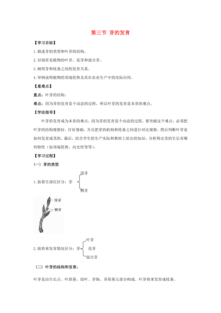 八年級生物上冊 第三單元 第一章 第3節(jié)《芽的發(fā)育》導(dǎo)學(xué)案（無答案） （新版）冀教版_第1頁