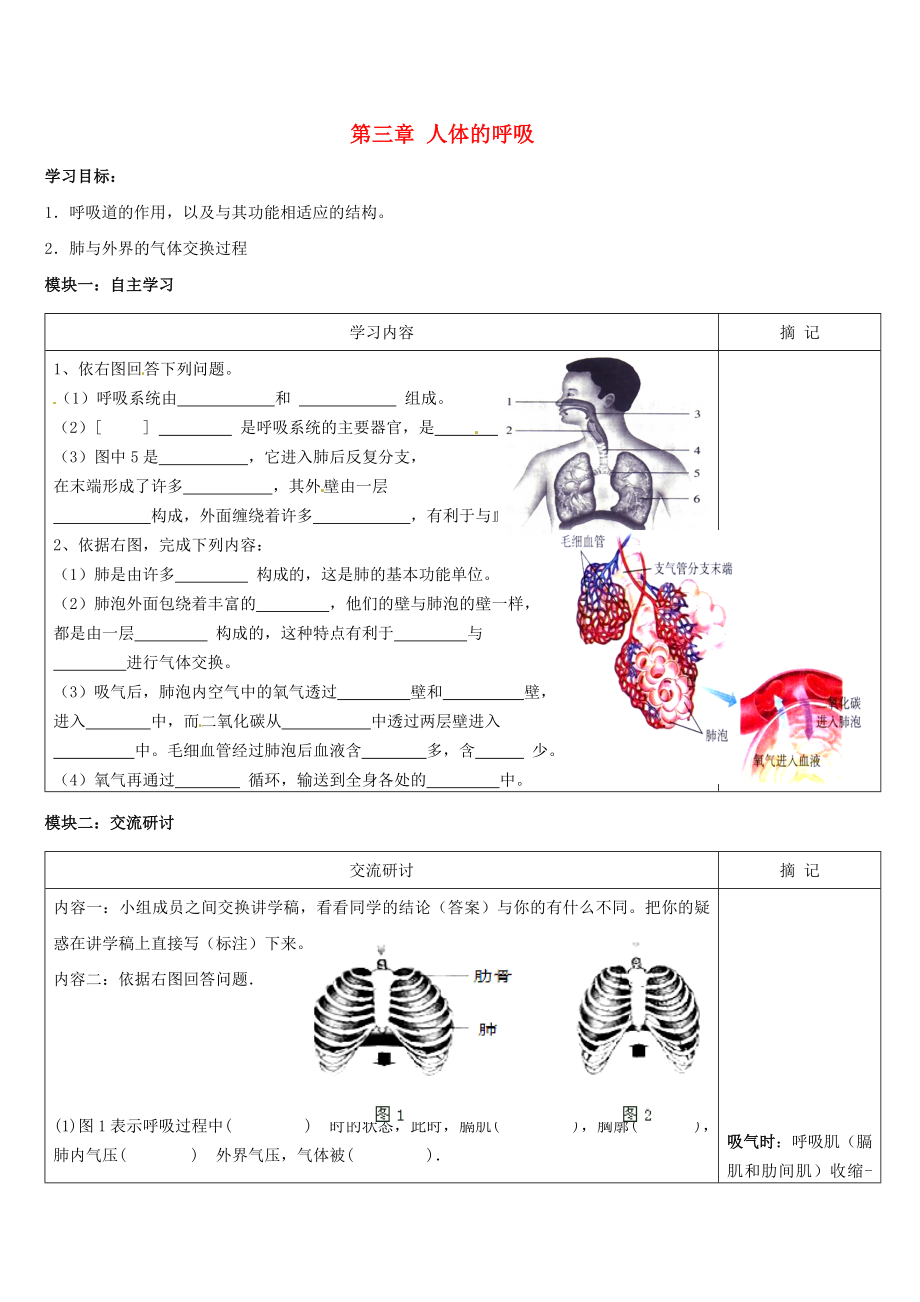 廣東省河源市中英文實(shí)驗(yàn)學(xué)校七年級(jí)生物下冊(cè) 第三章 人體的呼吸講學(xué)稿（無(wú)答案）（新版）新人教版_第1頁(yè)