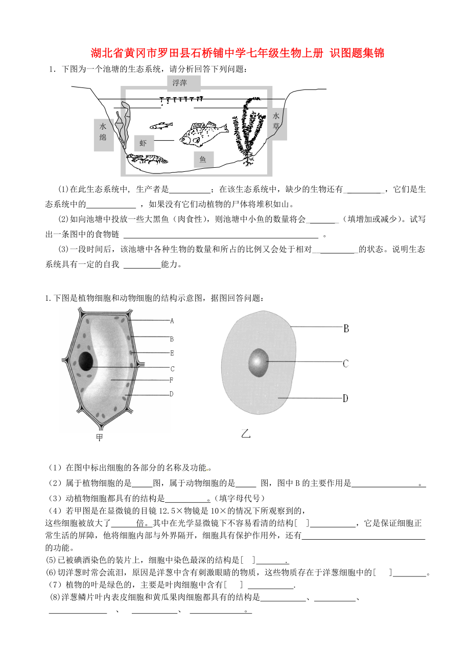 湖北省黃岡市羅田縣石橋鋪中學(xué)七年級(jí)生物上冊(cè) 識(shí)圖題集錦（無答案） 新人教版_第1頁