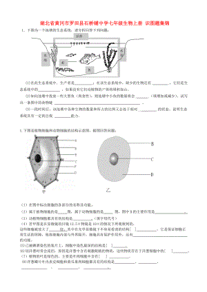 湖北省黃岡市羅田縣石橋鋪中學(xué)七年級(jí)生物上冊(cè) 識(shí)圖題集錦（無(wú)答案） 新人教版