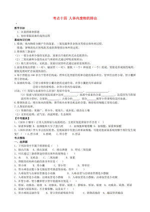 湖北省襄陽四十七中中考生物 考點十四 人體內(nèi)廢物的排出復(fù)習教學案（無答案）