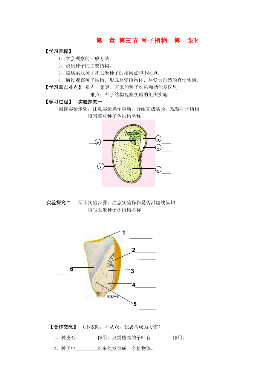 七年級(jí)生物上冊(cè) 種子植物學(xué)案 濟(jì)南版_第1頁(yè)