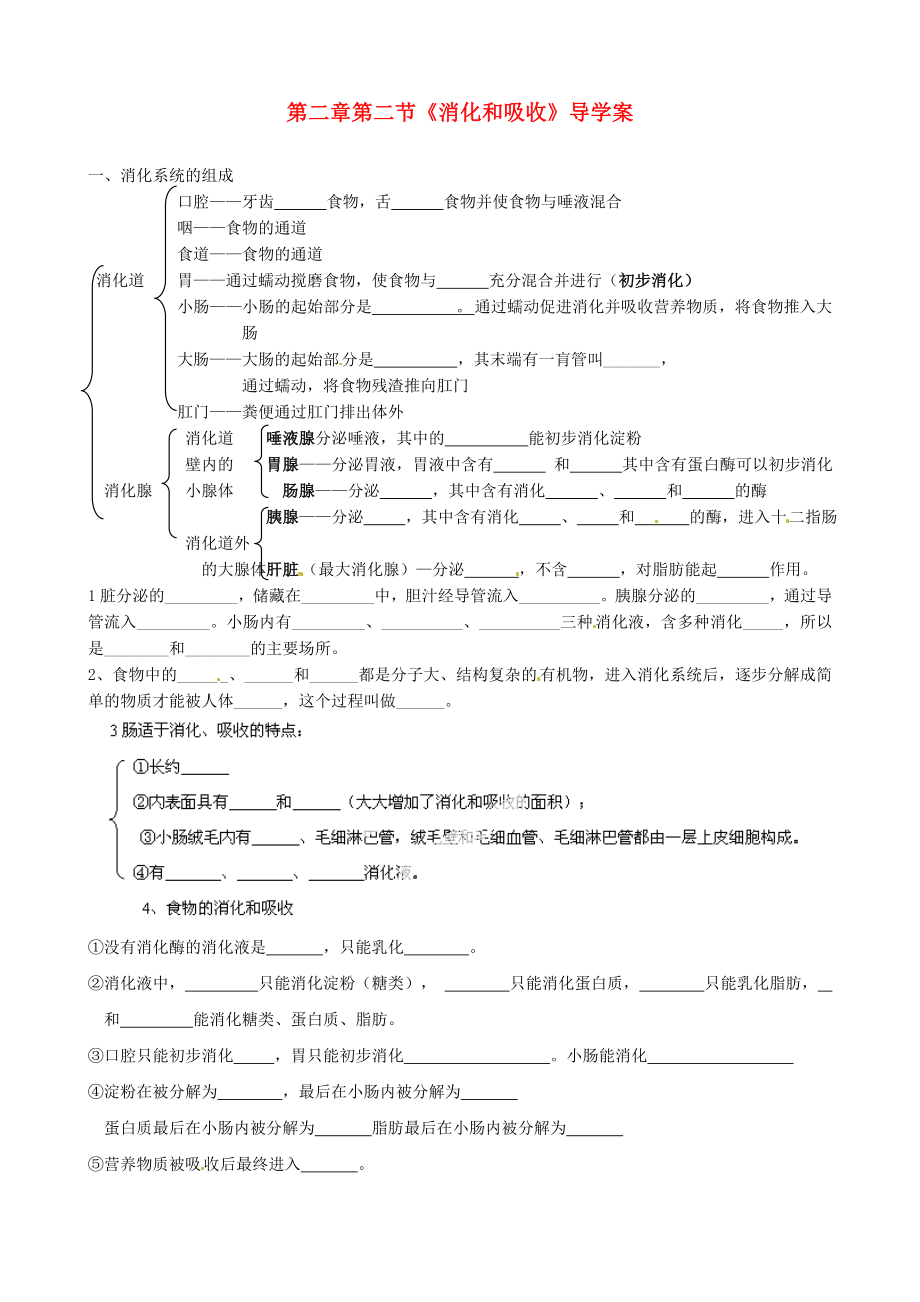 山東省淄博市沂源縣中莊鄉(xiāng)中學(xué)八年級(jí)生物上冊 第二章 第二節(jié)《消化和吸收》導(dǎo)學(xué)案（無答案） 魯科版_第1頁