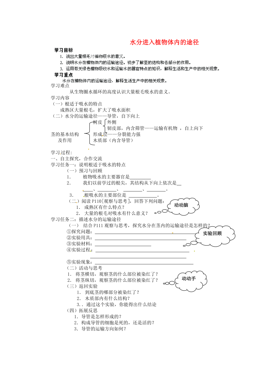 山東省平度市蓼蘭鎮(zhèn)何家店中學(xué)七年級(jí)生物上冊(cè) 第三單元 第三章 第二節(jié) 水分進(jìn)入植物體內(nèi)的途徑學(xué)案（無(wú)答案） （新版）新人教版_第1頁(yè)