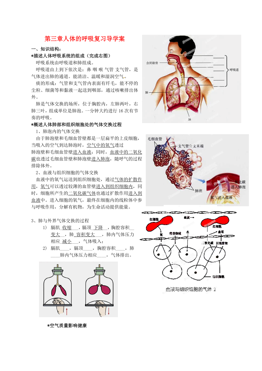 安徽省毫州市風(fēng)華中學(xué)七年級(jí)生物下冊(cè)《第三章 人體的呼吸》復(fù)習(xí)導(dǎo)學(xué)案 新人教版_第1頁