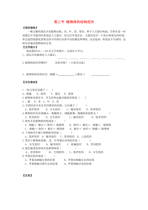 辽宁省东港市小甸子中学七年级生物上册 2.2.3 植物体的结构层次研学案（无答案）（新版）新人教版