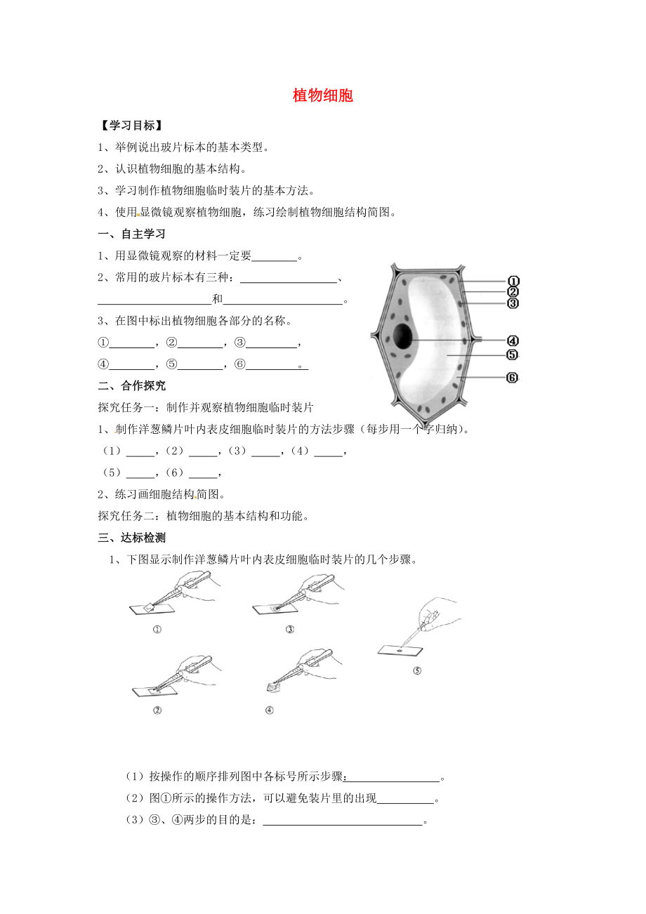 河北省遵化市小廠鄉(xiāng)松棚營(yíng)中學(xué)七年級(jí)生物上冊(cè)《第二單元 第一章 第二節(jié) 植物細(xì)胞》導(dǎo)學(xué)案（無(wú)答案）（新版）新人教版_第1頁(yè)