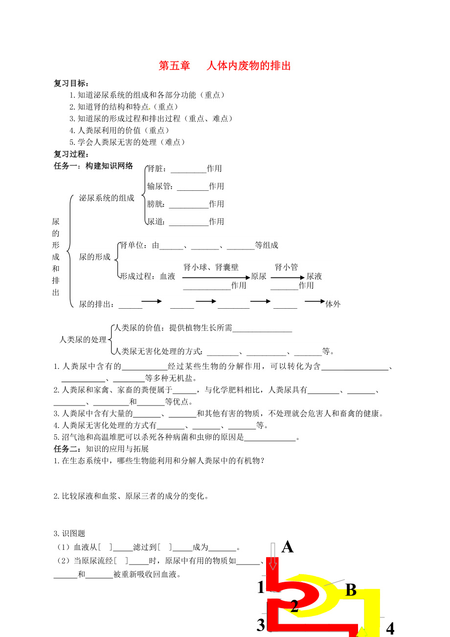 吉林省通化市外國語中學(xué)七年級生物下冊 第四單元 第五章 人體內(nèi)廢物的排出復(fù)習(xí)學(xué)案（無答案） 新人教版_第1頁