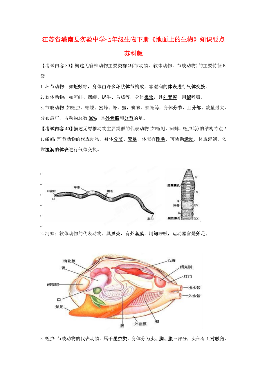 江蘇省灌南縣實驗中學(xué)七年級生物下冊《地面上的生物》知識要點(diǎn)（無答案） 蘇科版（通用）_第1頁