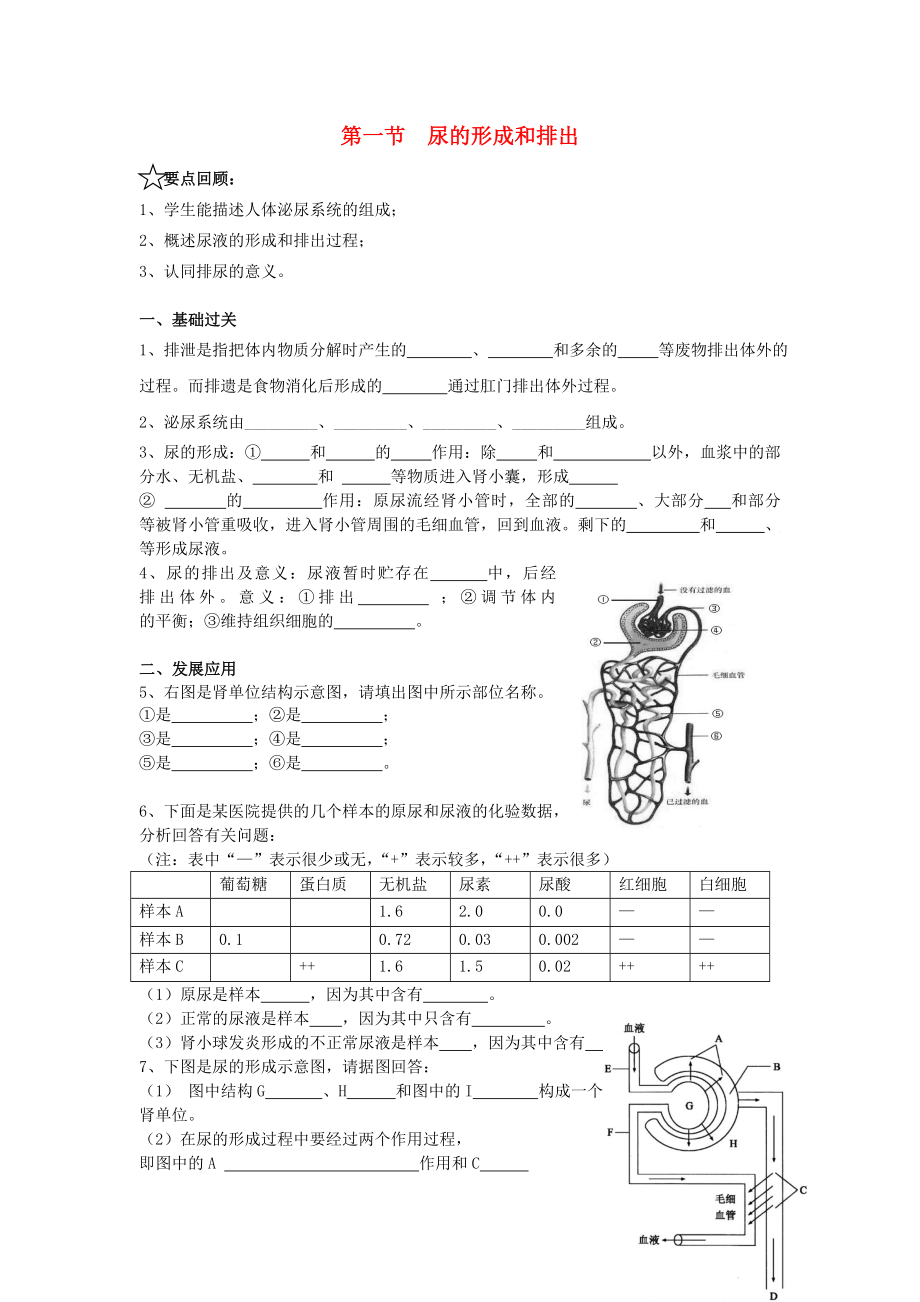 廣東省中山市紀中三鑫雙語學(xué)校七年級生物下冊 第五章 第一節(jié) 尿的形成和排出梯度練習（無答案） 新人教版_第1頁