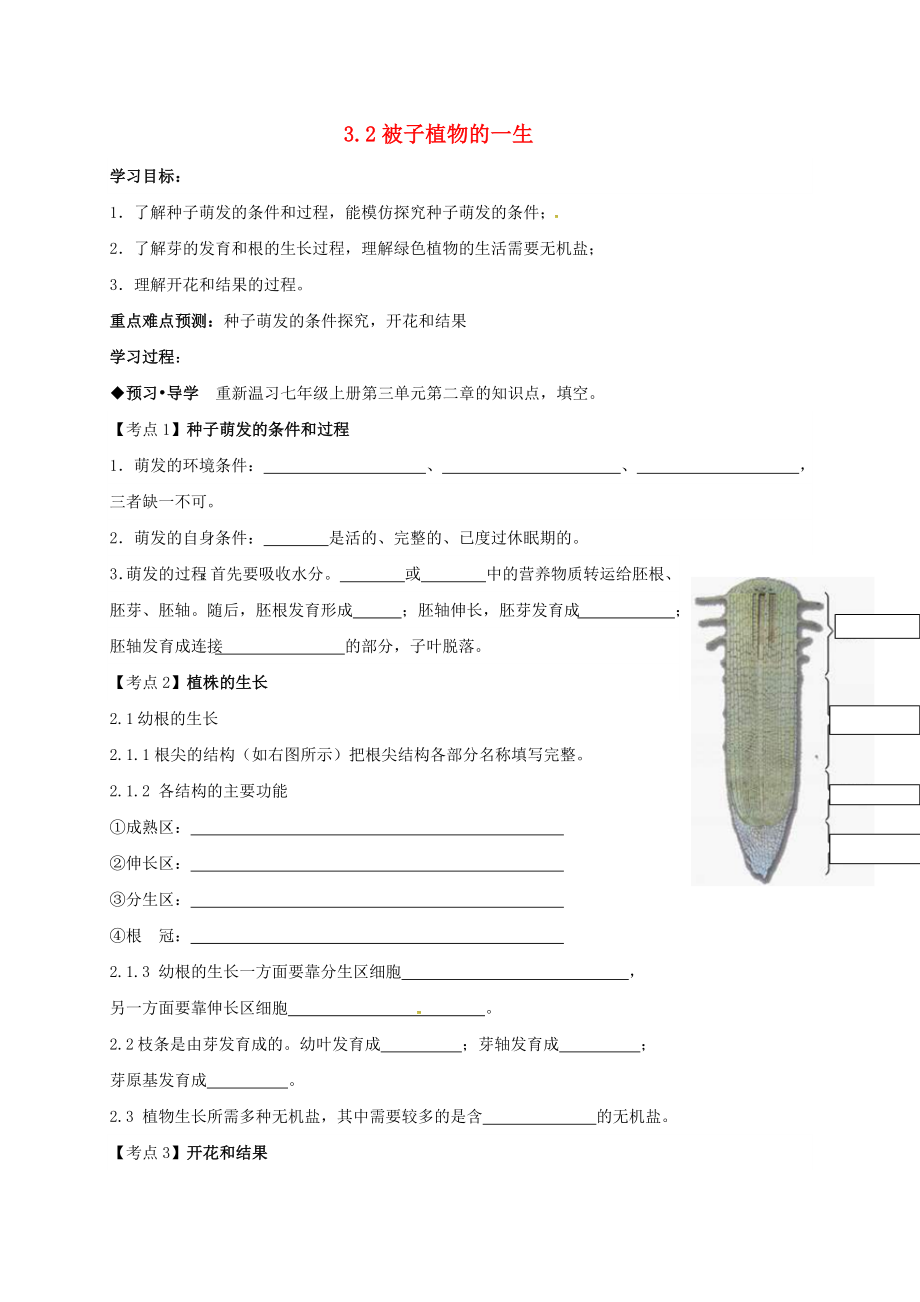 廣東省河源市正德中學(xué)2020屆中考生物 被子植物的一生復(fù)習(xí)學(xué)案（無答案）_第1頁