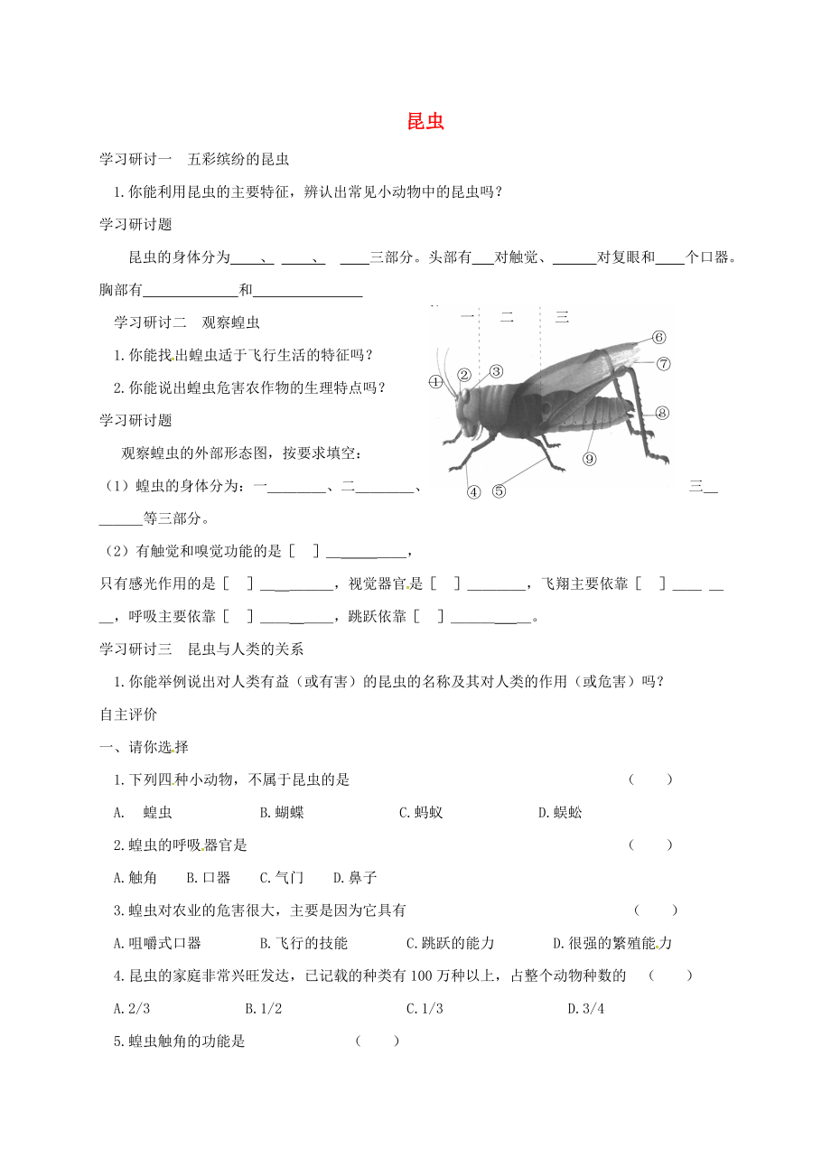 江苏省铜山区七年级生物下册 12.2昆虫导学案（无答案）（新版）苏科版（通用）_第1页