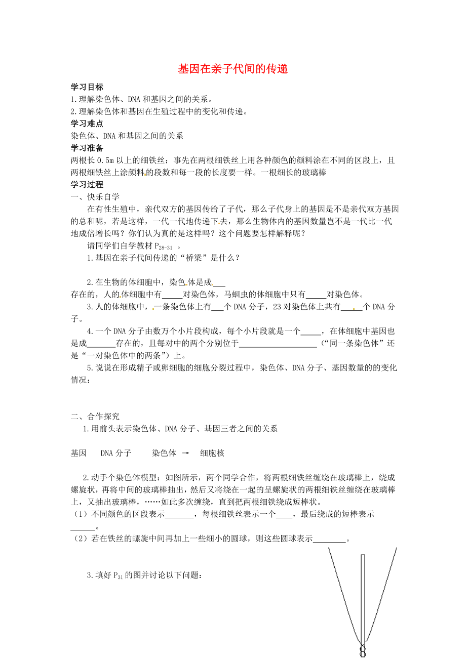 山東省郯城第三中學(xué)七年級生物上冊 基因在親子代間的傳遞學(xué)案（無答案） 新人教版_第1頁