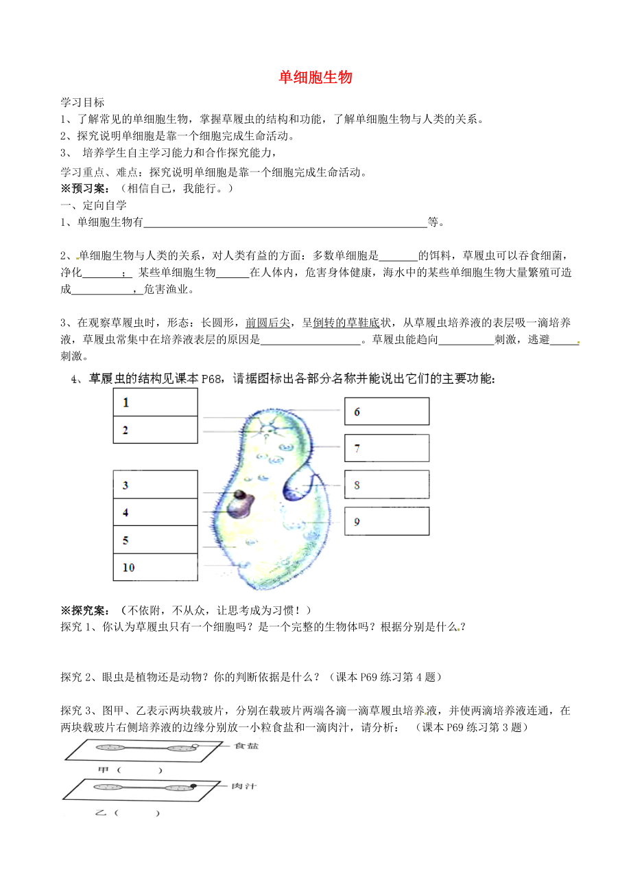 廣西省桂林市灌陽縣灌陽鎮(zhèn)紅旗初級中學七年級生物上冊 第二單元 第二章 第四節(jié) 單細胞生物導學案（無答案）（新版）新人教版_第1頁