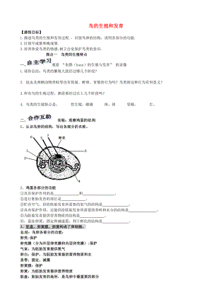 山東省高密市銀鷹文昌中學(xué)八年級(jí)生物上冊(cè) 4.2.3 鳥(niǎo)的生殖和發(fā)育學(xué)案（無(wú)答案） 濟(jì)南版