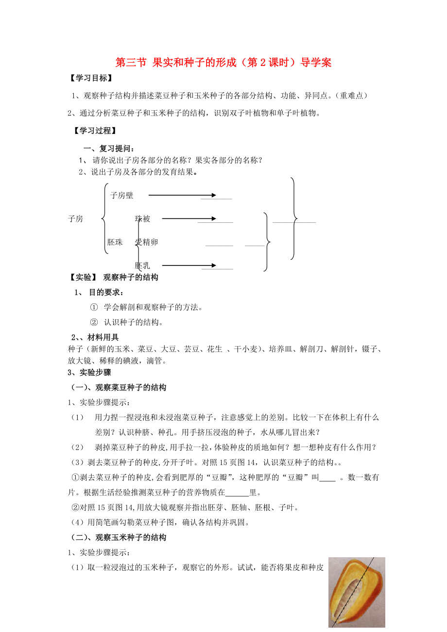 山東省棗莊市嶧城區(qū)吳林街道中學(xué)八年級(jí)生物上冊(cè) 第四單元 第一章 第三節(jié) 果實(shí)和種子的形成導(dǎo)學(xué)案（無答案） 濟(jì)南版_第1頁