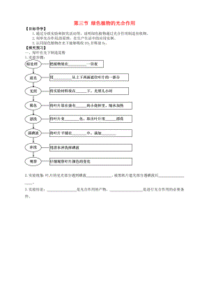 山東省武城縣第二中學(xué)七年級(jí)生物上冊(cè) 第三節(jié) 綠色植物的光合作用導(dǎo)學(xué)案（無答案） 濟(jì)南版