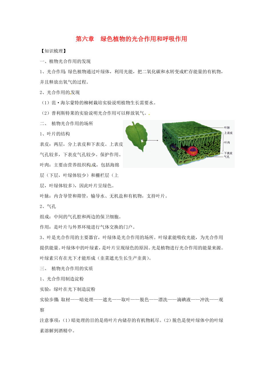 七年級生物上冊 第6章綠色植物的光合作用和呼吸作用復習學案 蘇教版（通用）_第1頁