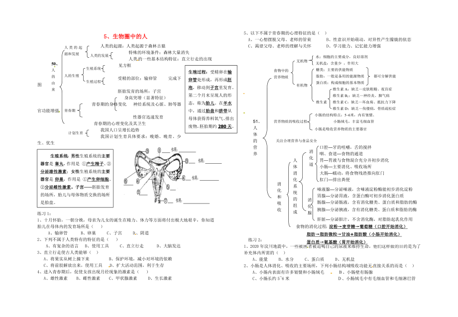 湖北省宜昌市2020屆中考生物會(huì)考專題 生物圈中的人復(fù)習(xí)學(xué)案（無(wú)答案）_第1頁(yè)