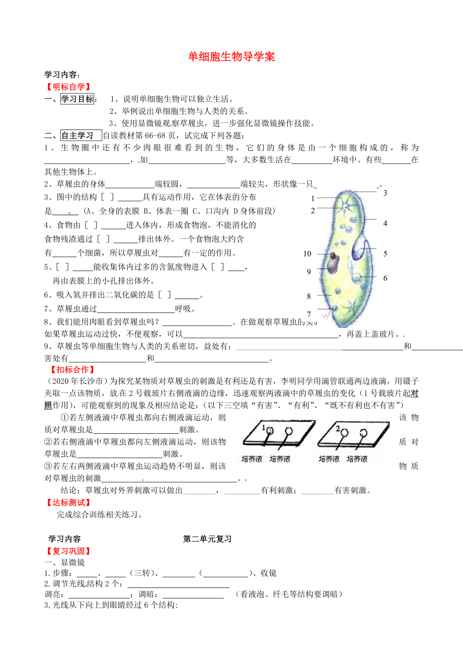 山東省肥城市湖屯鎮(zhèn)初級中學(xué)八年級生物上冊 單細(xì)胞生物導(dǎo)學(xué)案（無答案） 新人教版_第1頁