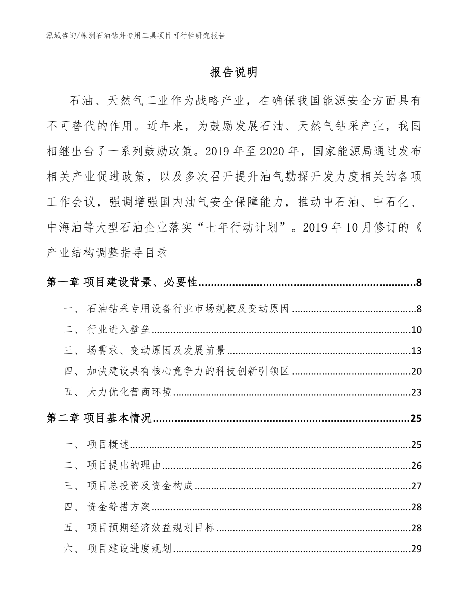株洲石油钻井专用工具项目可行性研究报告_第1页
