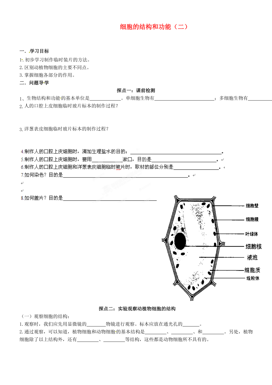 山東省高密市銀鷹文昌中學(xué)七年級生物上冊 實驗：觀察動植物細胞學(xué)案（無答案）_第1頁