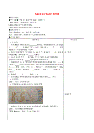 山東泰安市八年級生物下冊 8.2.3基因在親子代之間的傳遞學(xué)案（無答案） 魯教版五四制