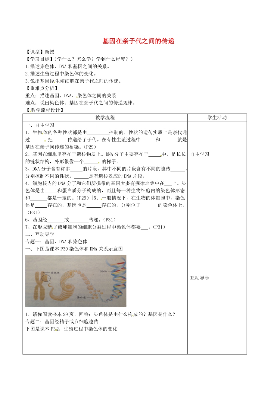 山東泰安市八年級生物下冊 8.2.3基因在親子代之間的傳遞學(xué)案（無答案） 魯教版五四制_第1頁