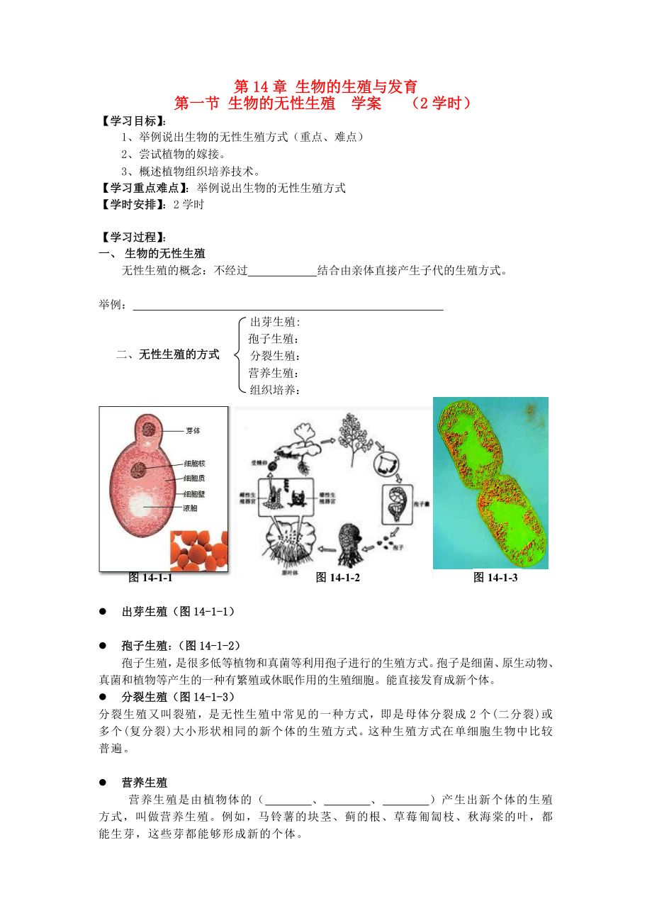 八年生物級上冊 第5單元 生物的生殖、發(fā)育與遺傳 第一節(jié) 生物的無性生殖快樂學(xué)案（無答案）2 蘇教版_第1頁