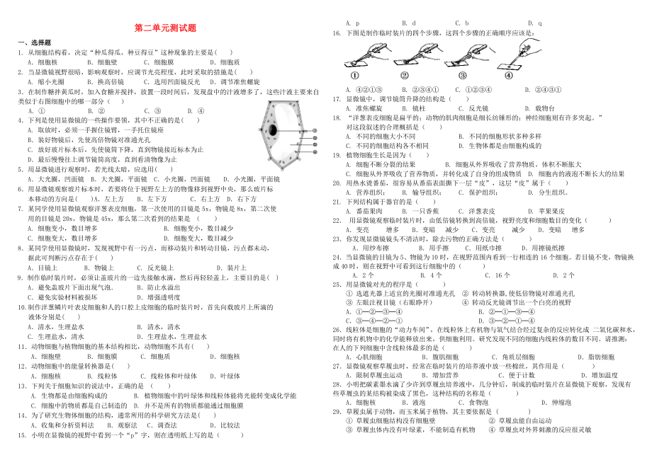 山東省泰安市岱岳區(qū)新城實驗中學七年級生物上冊 第二單元測試題（無答案） 新人教版（通用）_第1頁