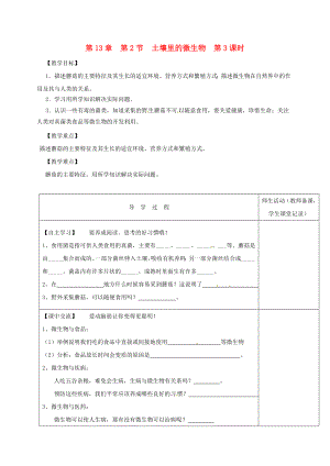 江蘇省淮安市七年級生物下冊 第13章 第2節(jié) 土壤里的微生物（第3課時）教學案（無答案）（新版）蘇科版（通用）