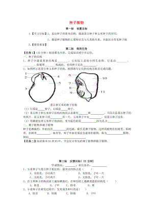 云南省昆明市西山區(qū)團(tuán)結(jié)民族中學(xué)七年級(jí)生物上冊 3.1.2 種子植物學(xué)案（無答案）（新版）新人教版