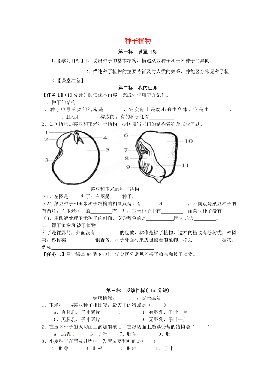 云南省昆明市西山區(qū)團結(jié)民族中學七年級生物上冊 3.1.2 種子植物學案（無答案）（新版）新人教版_第1頁