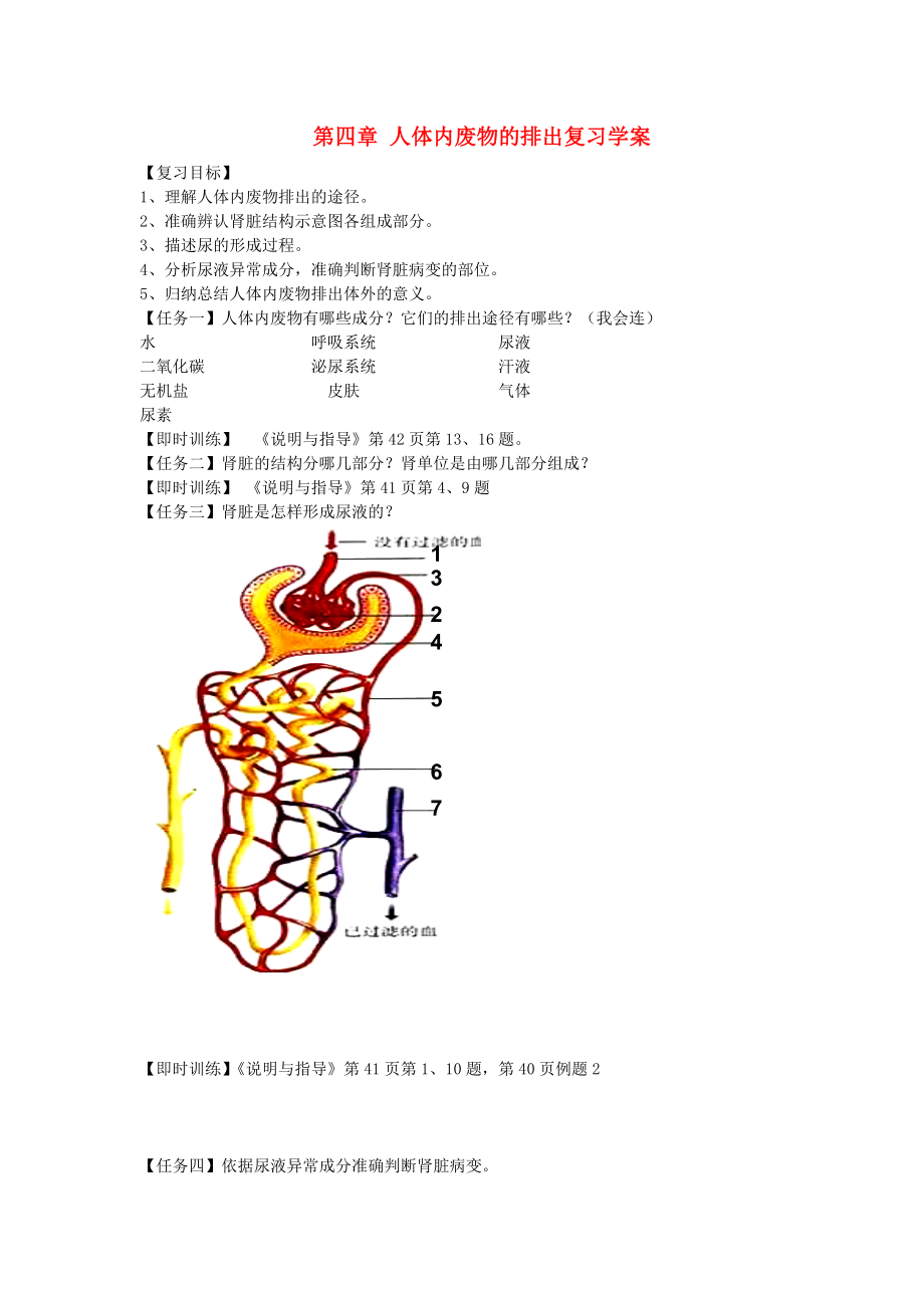 七年級生物下冊 第四章 人體內(nèi)廢物的排出復習學案（無答案） 濟南版（通用）_第1頁