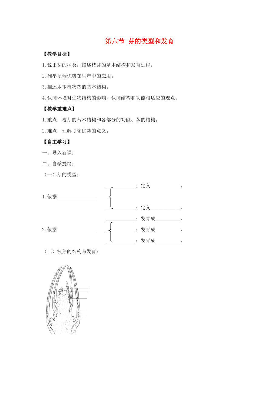 八年級生物上冊 第四單元 第一章 第6節(jié)《芽的類型和發(fā)育》導(dǎo)學(xué)案（無答案）（新版）濟(jì)南版_第1頁