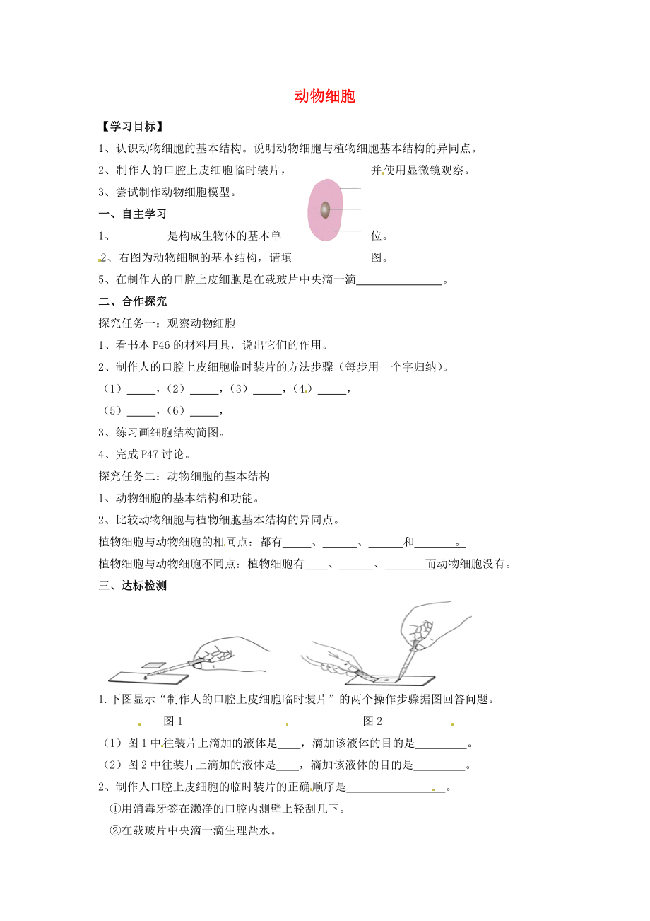 河北省遵化市小廠鄉(xiāng)松棚營(yíng)中學(xué)七年級(jí)生物上冊(cè)《第二單元 第一章 第三節(jié) 動(dòng)物細(xì)胞》導(dǎo)學(xué)案（無答案）（新版）新人教版_第1頁