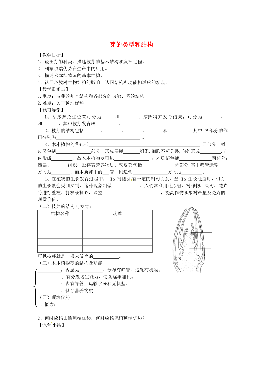 山東省巨野縣獨(dú)山鎮(zhèn)第二中學(xué)八年級生物上冊 4.1.6 芽的類型和結(jié)構(gòu)學(xué)案（無答案） 濟(jì)南版_第1頁