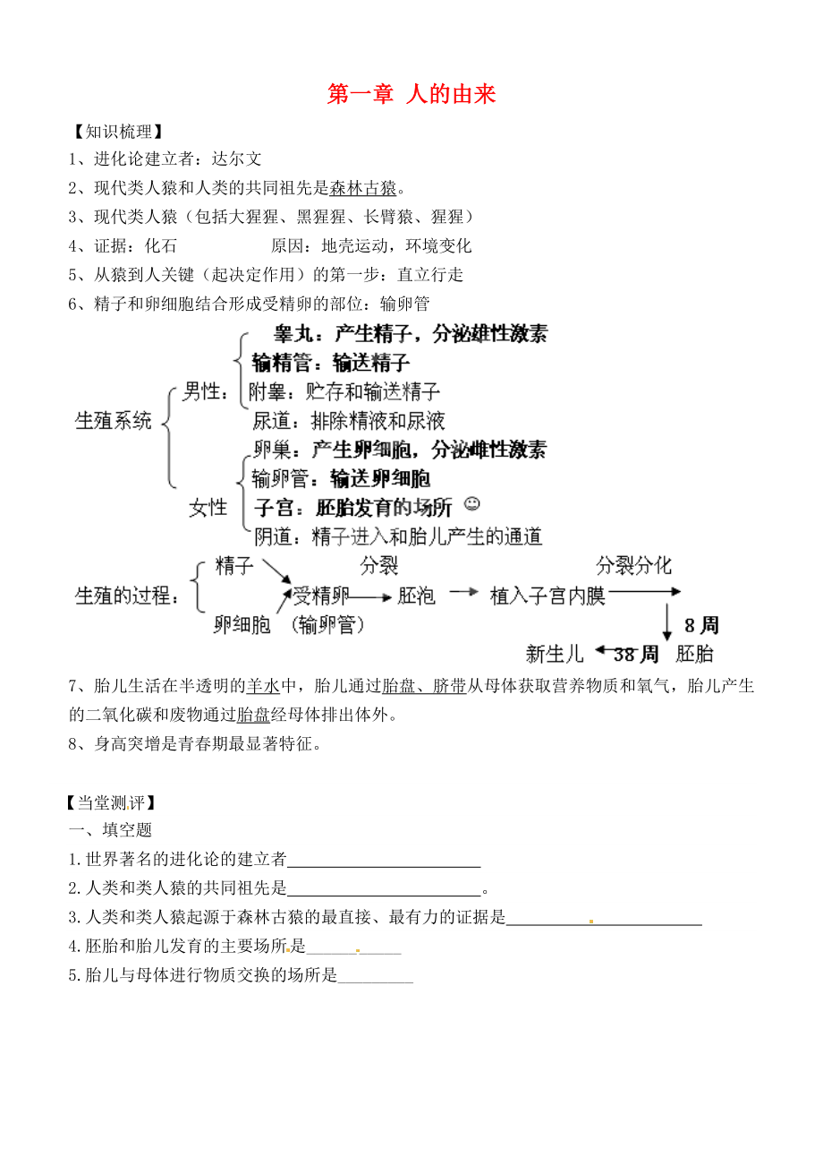 內(nèi)蒙古鄂爾多斯東勝區(qū)正東中學七年級生物下冊 第一章 人的由來復習學案（無答案） 新人教版_第1頁