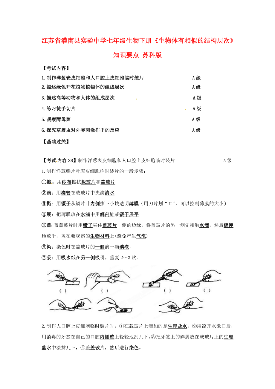 江蘇省灌南縣實驗中學(xué)七年級生物下冊《生物體有相似的結(jié)構(gòu)層次》知識要點（無答案） 蘇科版（通用）_第1頁